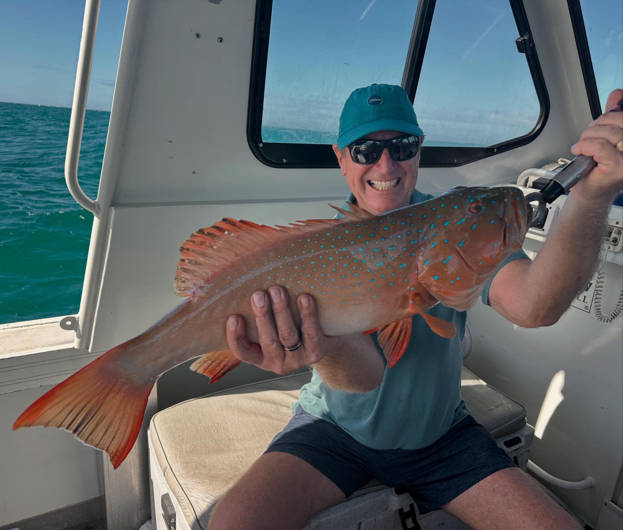 Vibrant Coral Trout