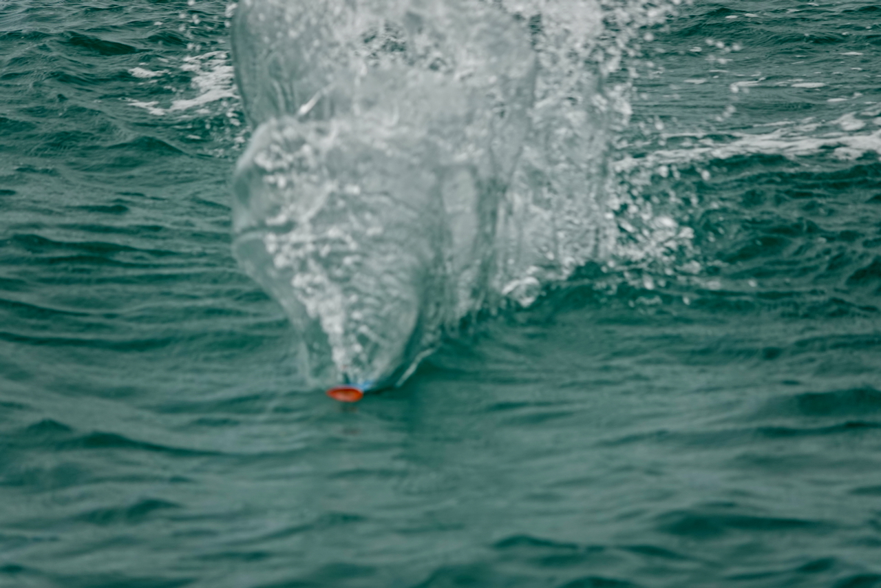 GT Popper Fishing 1