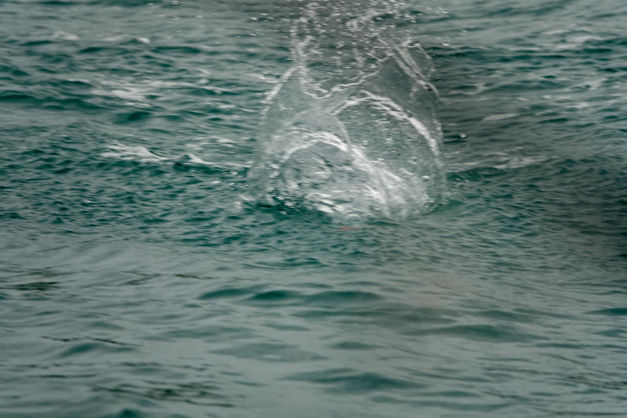 GT Popper Fishing 3