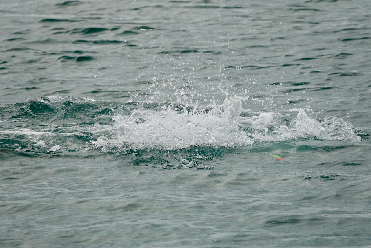 GT Popper Fishing 5