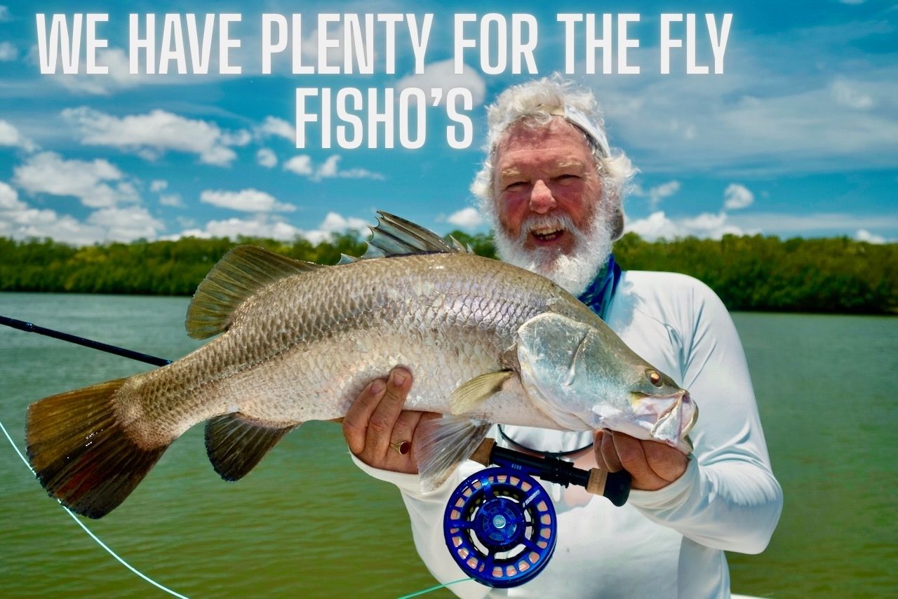 Fly fishing for barramundi