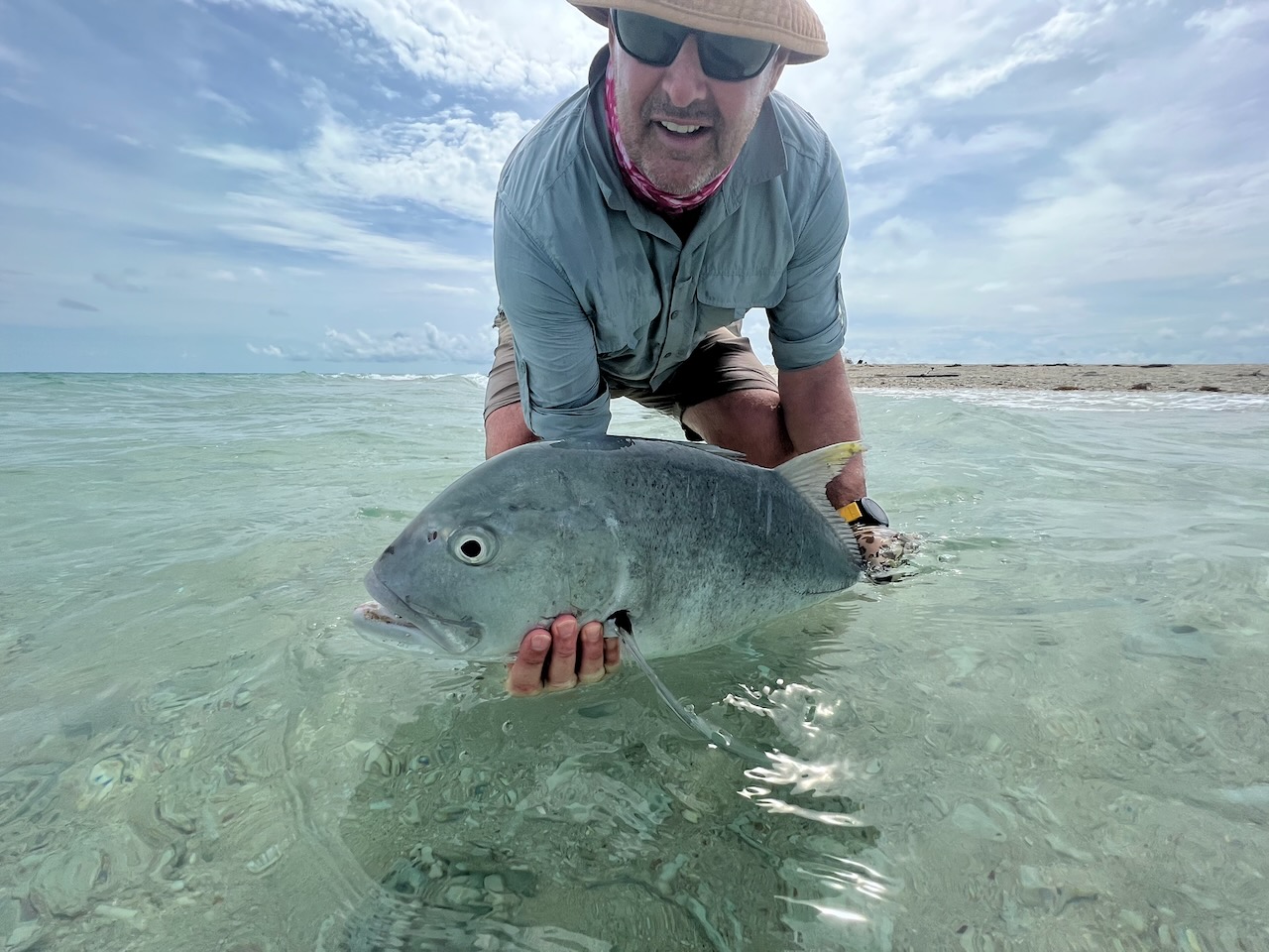 Golden Snapper & Estuary Predators