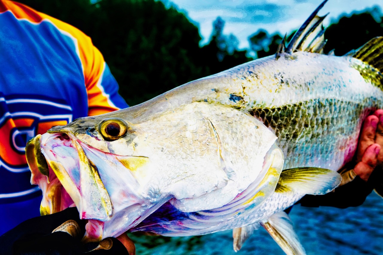 Expedition Catch