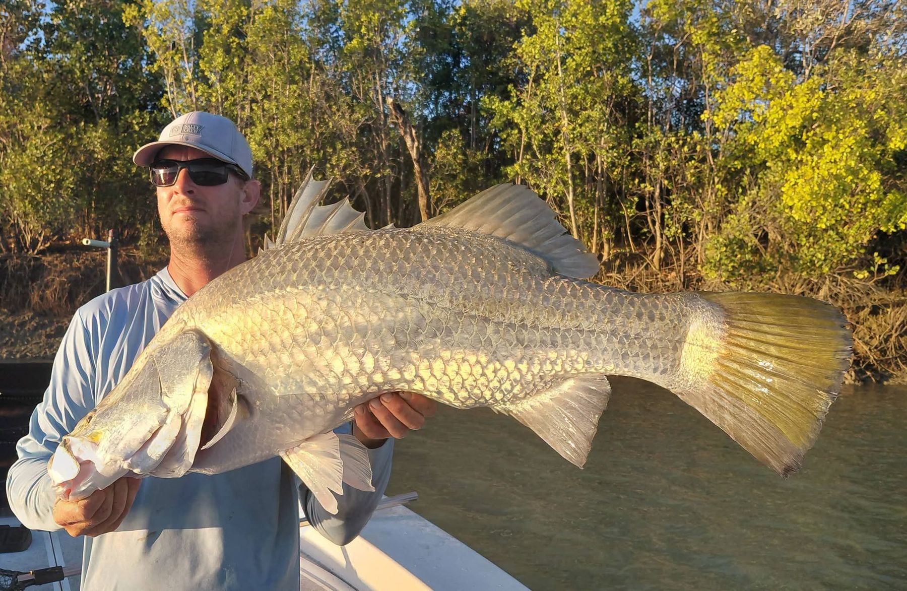 Angler holding a large barramundi in golden evening light beside the mangroves