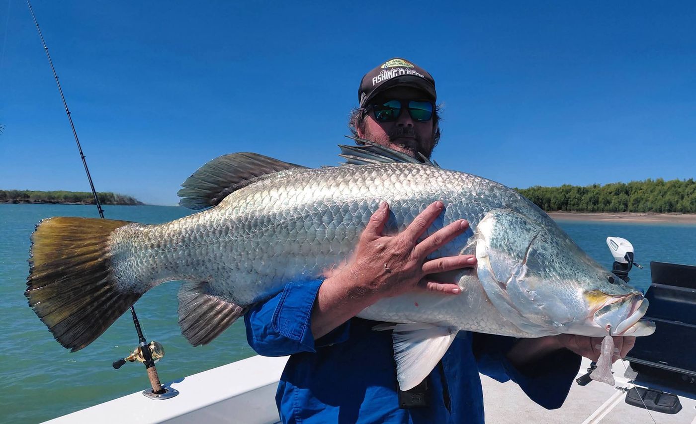 Angler cradling a heavy barramundi with a broad golden tail