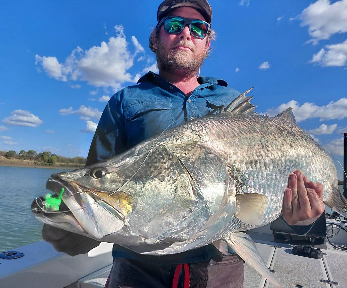 Close view of a big barramundi with a lure still in its jaw